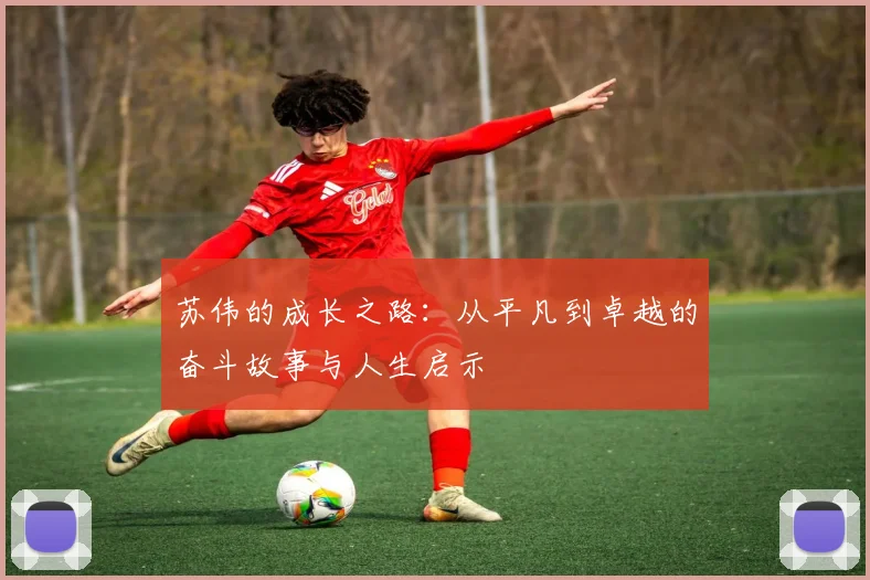 苏伟的成长之路：从平凡到卓越的奋斗故事与人生启示