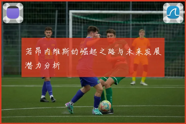 若昂内维斯的崛起之路与未来发展潜力分析