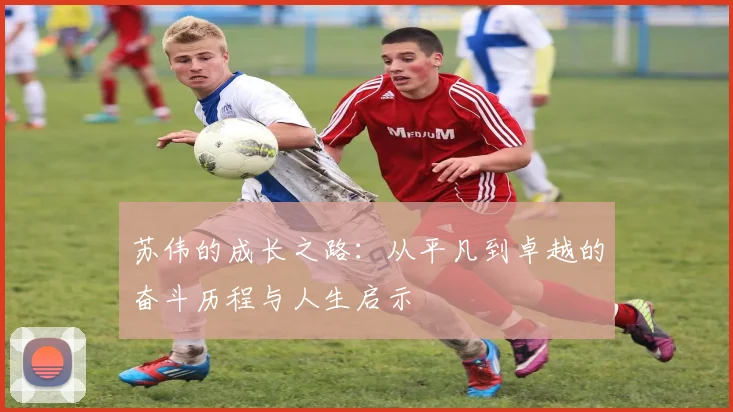苏伟的成长之路：从平凡到卓越的奋斗历程与人生启示