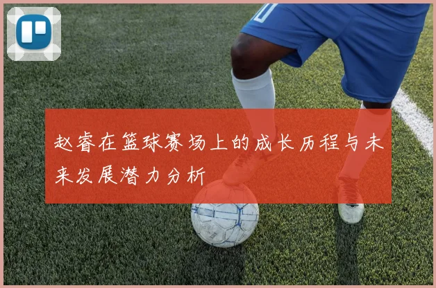 赵睿在篮球赛场上的成长历程与未来发展潜力分析