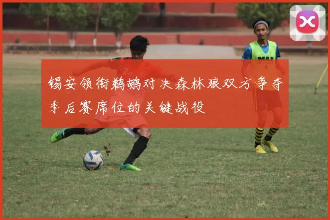 锡安领衔鹈鹕对决森林狼双方争夺季后赛席位的关键战役